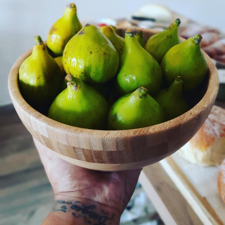 La Ceiba Speciosa Bed & Breakfast Capaccio Dış mekan fotoğraf